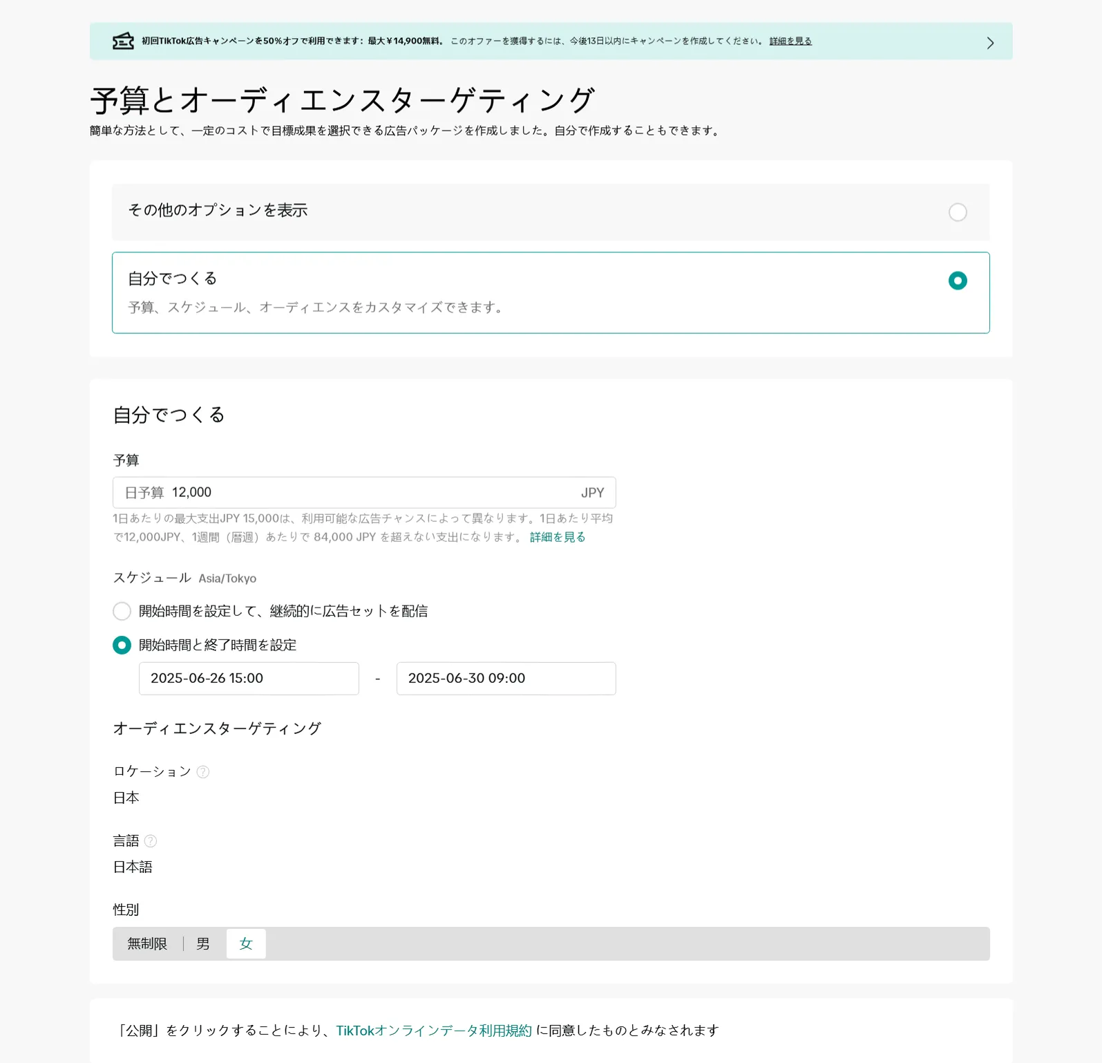 手動予算設定